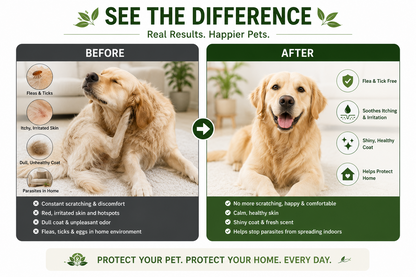 Pawmire-Protect Your Pet Before Fleas & Ticks Become a Problem